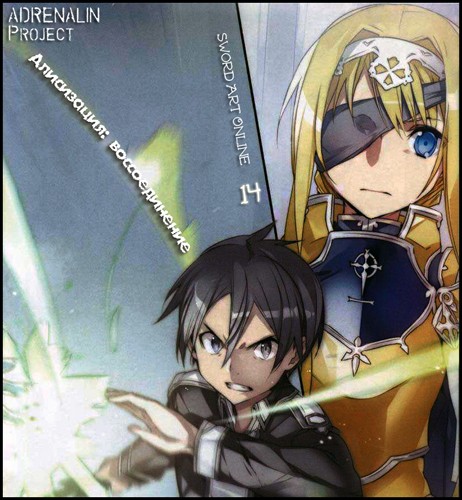 [Кавахара Рэки] 14-Sword Art Online